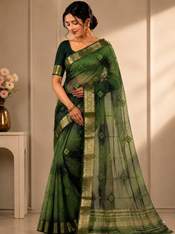 Green_organza_Saree_with_satari_work_For_Women