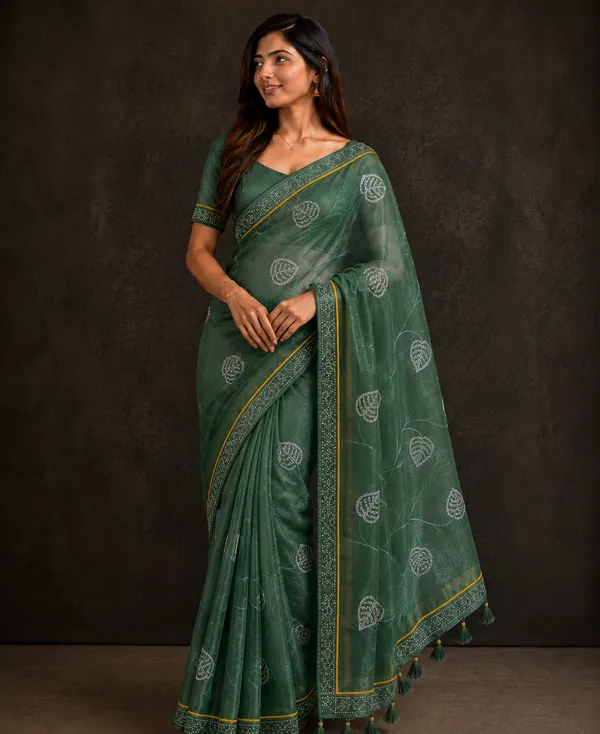 Green_twill_Net_With_Satari_Work_Saree_For_Women