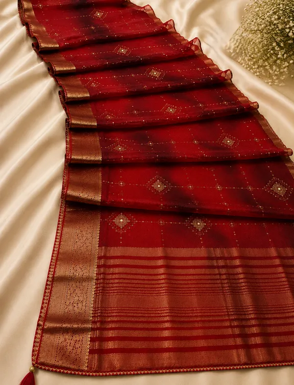 Red_organza_Saree_with_satari_work_For_Women