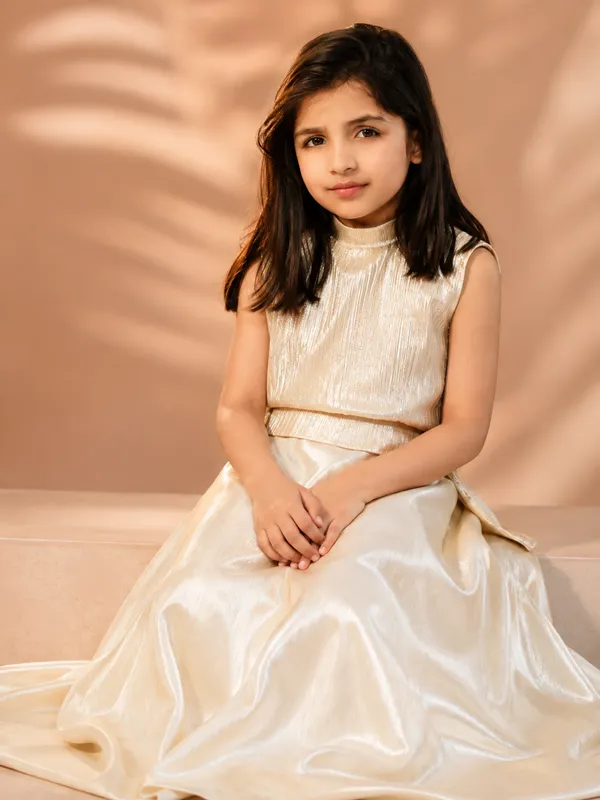 Champagne_Metallic_Crop_Top_&_Skirt_Set_With_Purse