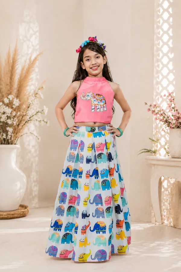 Elephant_Hand_Embroidered_Lehenga_Set