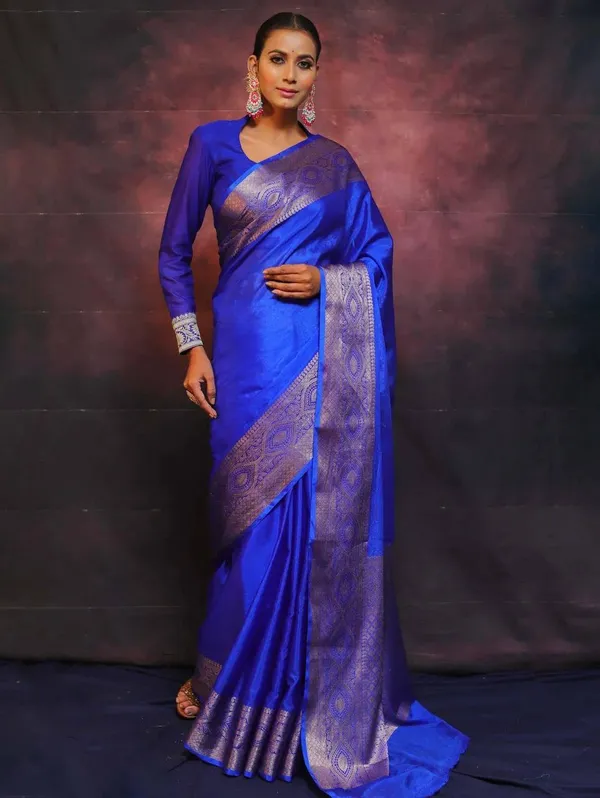 Blue_Brocade_Border_Saree_With_Blouse_for_Women