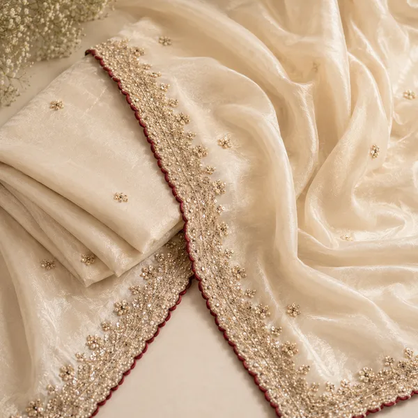 Elegant_Organza_Saree_with_Sequin_&_Pearl_(Moti)_Work