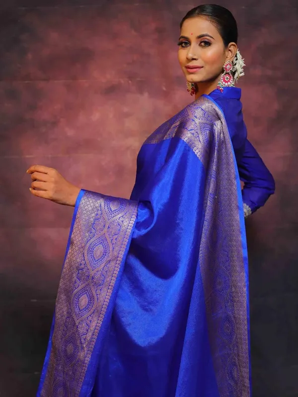 Blue_Brocade_Border_Saree_With_Blouse_for_Women