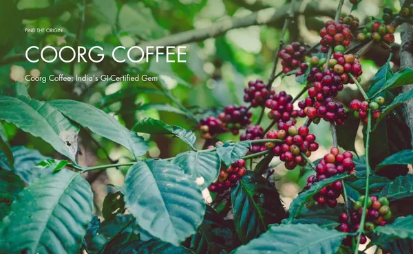 COORG_COFFEE_GOLDEN_COMBO