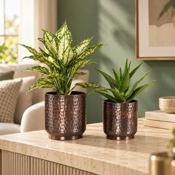 Metal_Modern_Hammered_Finish_Planter
