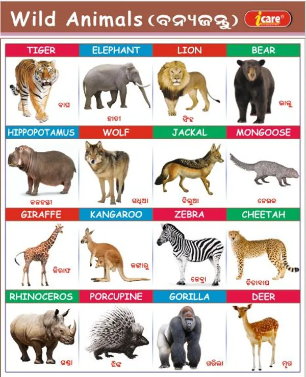 Children's_Picture_and_Activity_Books_Paper_For_Children