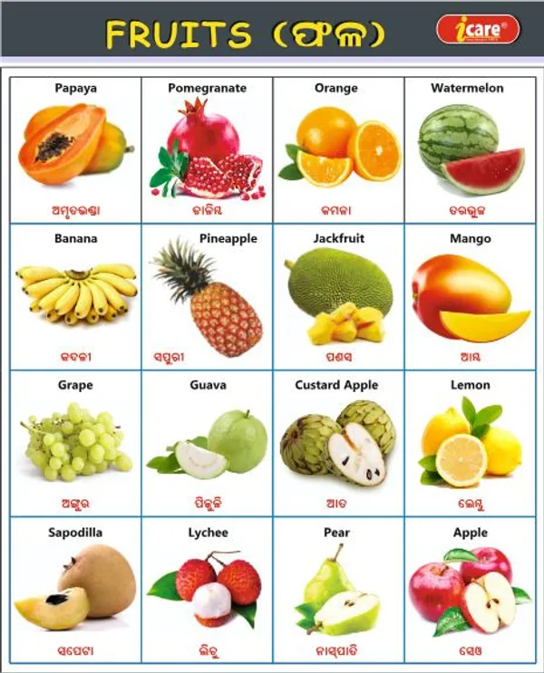 Children's_Picture_and_Activity_Books_Paper_For_Children