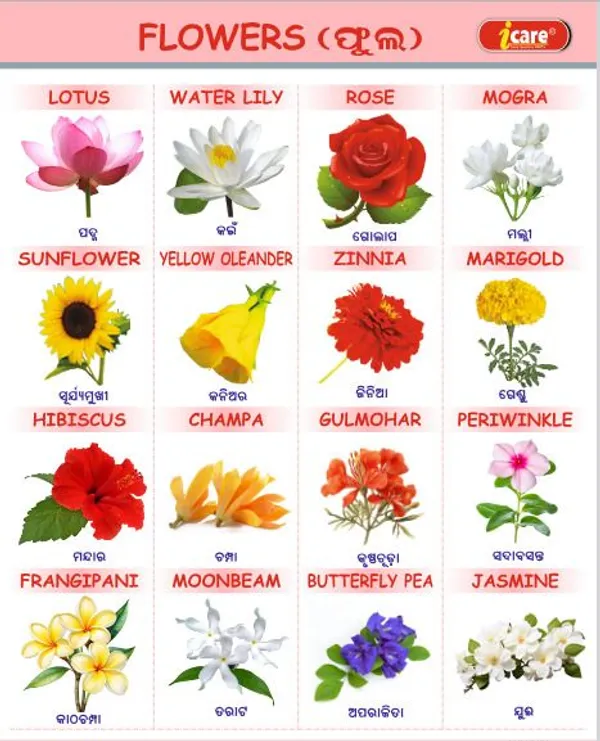 Children's_Picture_and_Activity_Books_Paper_For_Children