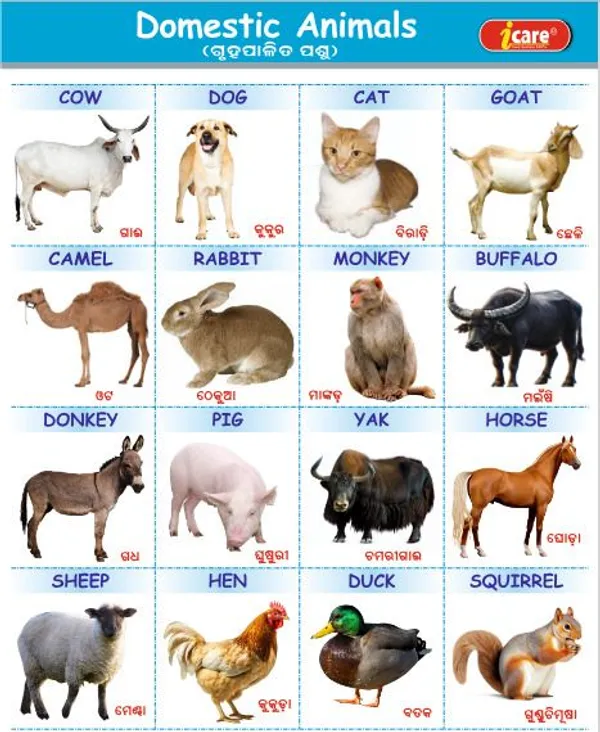 Children's_Picture_and_Activity_Books_Paper_For_Children