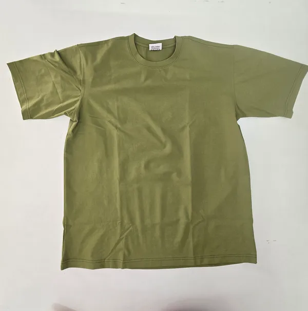 Olive_Regular_Fit_Crew_Neck_T-Shirt_for_Men