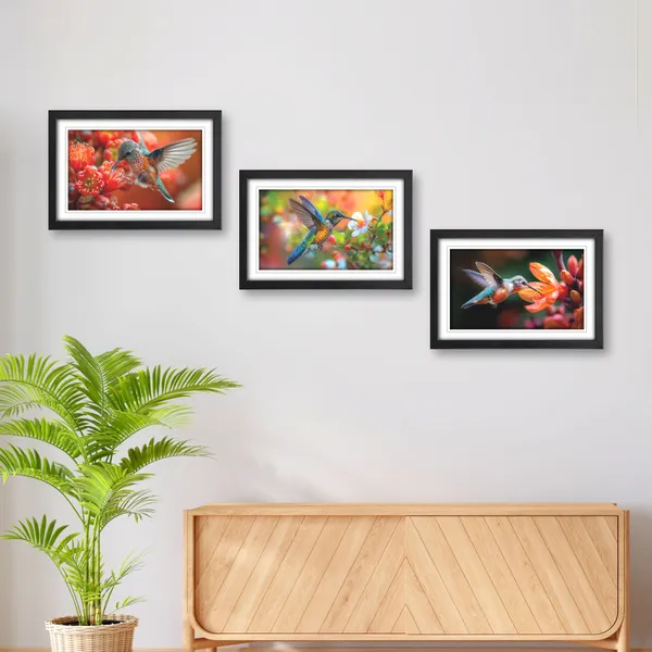 Birds,_Nature_Inspiring_Wall_Painting__(Set_of_3)