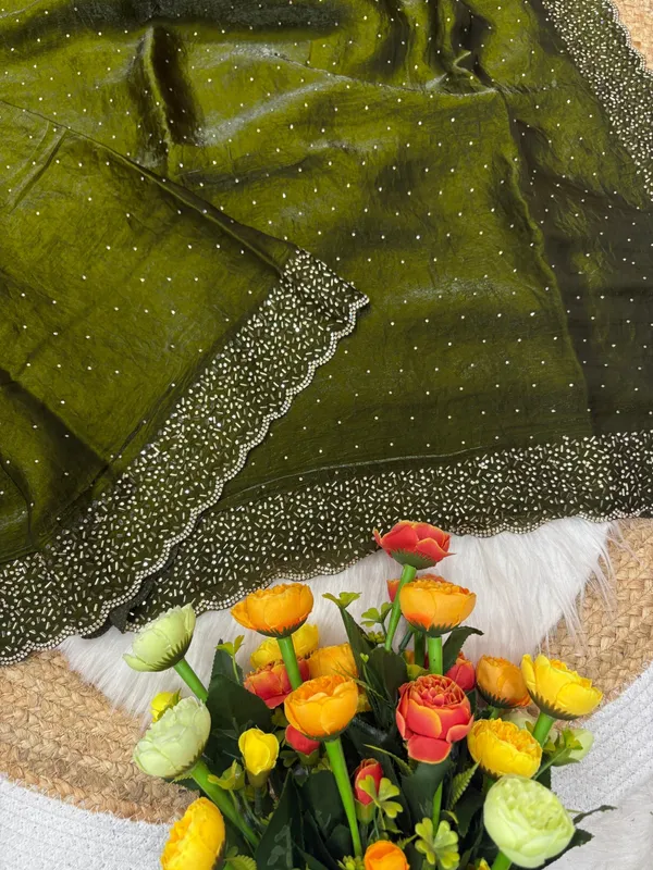Olive_Green_Embellished_Fancy_Saree