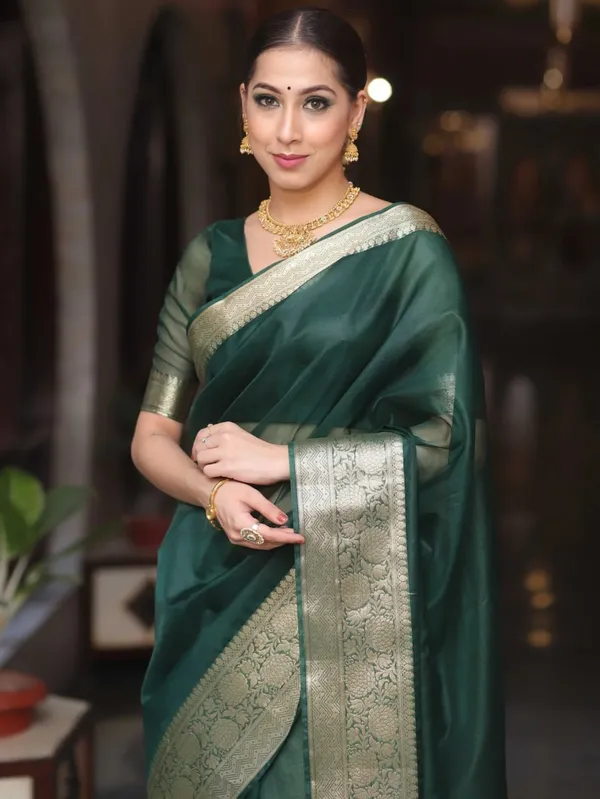 Green_Organza_Banarasi_Saree
