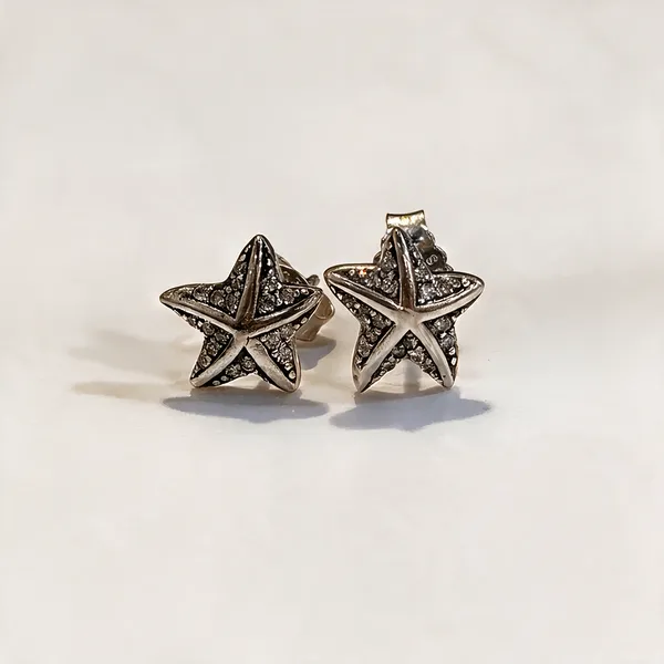 Silver_Silver_92.5%_Women_Earrings_For_Women