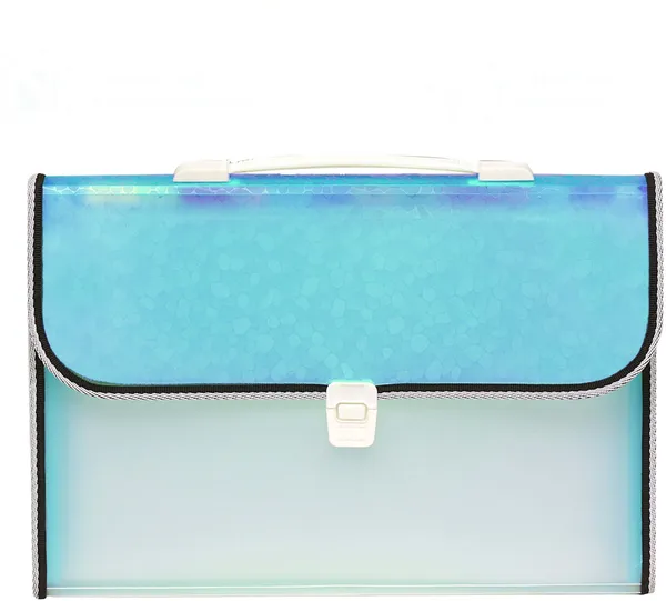Zestale_Polypropylene_13_Pocket_With_Handle_And_Index_Tab_Document_File_Folder_Set_Of_1,_Blue