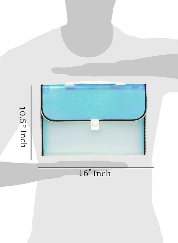 Zestale_Polypropylene_13_Pocket_With_Handle_And_Index_Tab_Document_File_Folder_Set_Of_1,_Blue