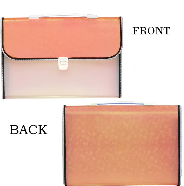 Zestale_Polypropylene_13_Pocket_Expanding_File_With_Handle_And_Index_Tab_Document_Folder_Set_Of_1,_Multicolor
