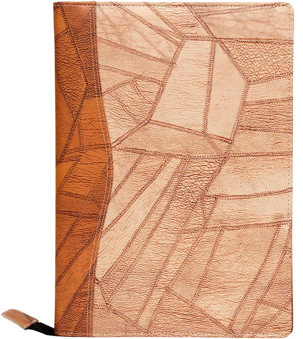 Zestale_Professional_Leatherette_File_Folder/Document_Holder_20_Leaves_Set_Of_1,_Multicolor
