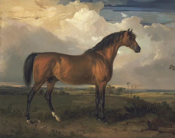 Framed_Equestrian_Horse_Wall_Art