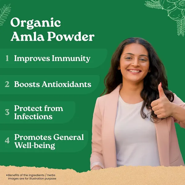 Tejash_Foods_Amla_Powder