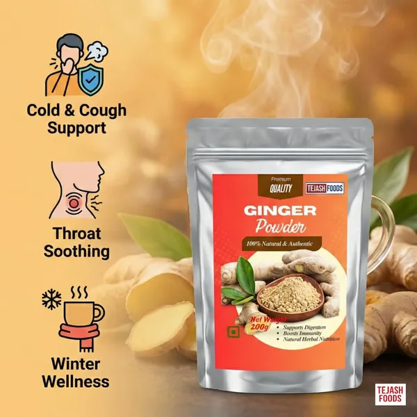 Tejash_Foods_Dry_Ginger_Powder_-_Pack_of_2