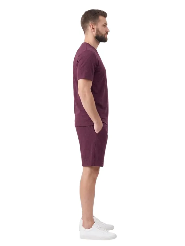 Men_S_Textured_Co_Ord_Set_With_T_Shirt_And_Shorts