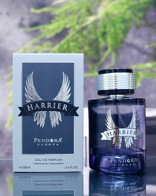 Paris_Corner_Pendora_Scents_Harrier_100ml_Edp