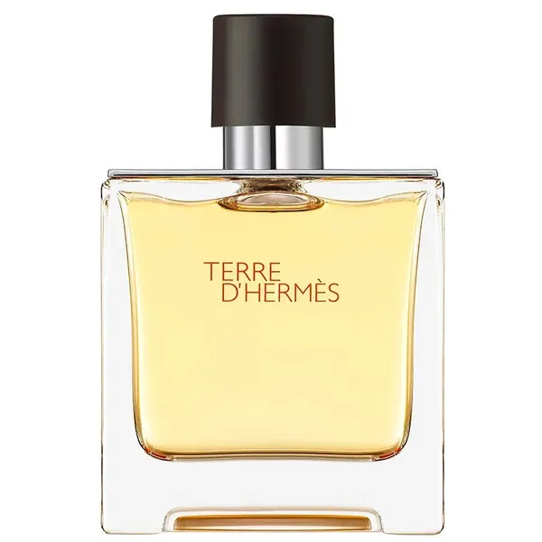 Hermes_Terre_D_Hermes_Parfum_For_Men