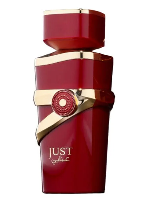 Fragrance_World_Just_Anabi_100ml_Edp_Alt_Of_Tf_Cherry_Smoke