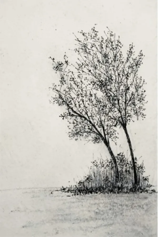 Paper_Minimalist_Tree_Sketch_Framed_Wall_Art