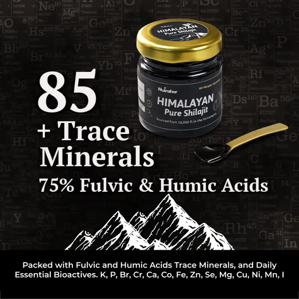 Himalayan_Pure_Shilajit_Resin_40g,_75%_Fulvic_Acid_and_85+_Trace_Minerals_Complex