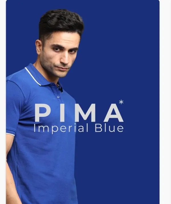 Blue_Cotton_Polo_T-Shirt_For_Men