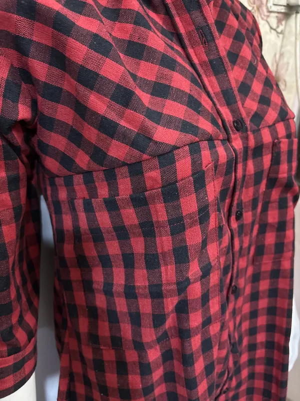 Red_&_Black_Gingham_Shirt_Dress
