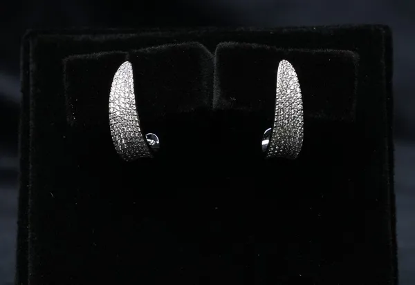 Luna_Curve_Hoop_Earrings