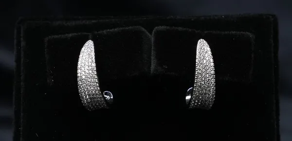 Luna_Curve_Hoop_Earrings