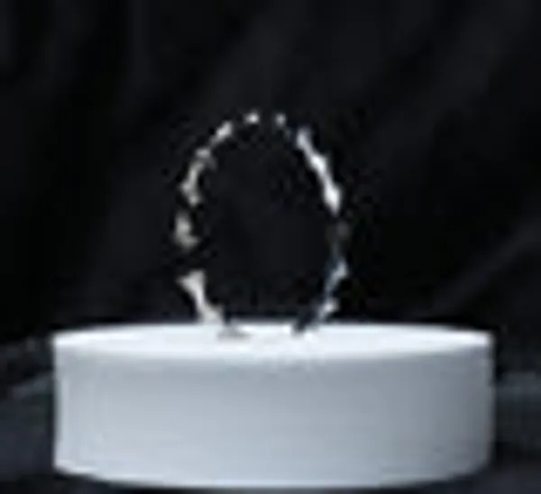 Eternal_Hug_Ring