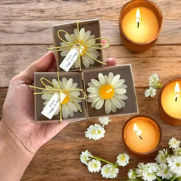 Daisy_Bloom_Candle__(Assorted)