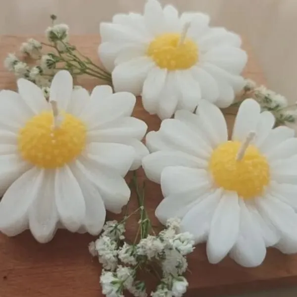 Daisy_Bloom_Candle__(Assorted)