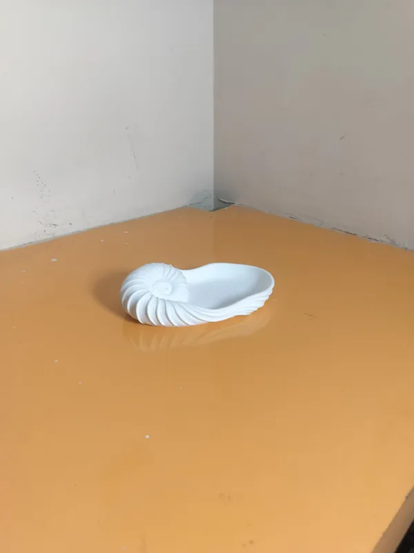 Shell_Stuck_Catch_All_tray