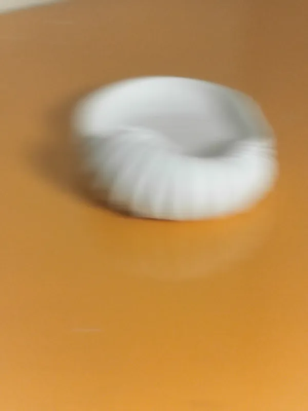 Shell_Stuck_Catch_All_tray