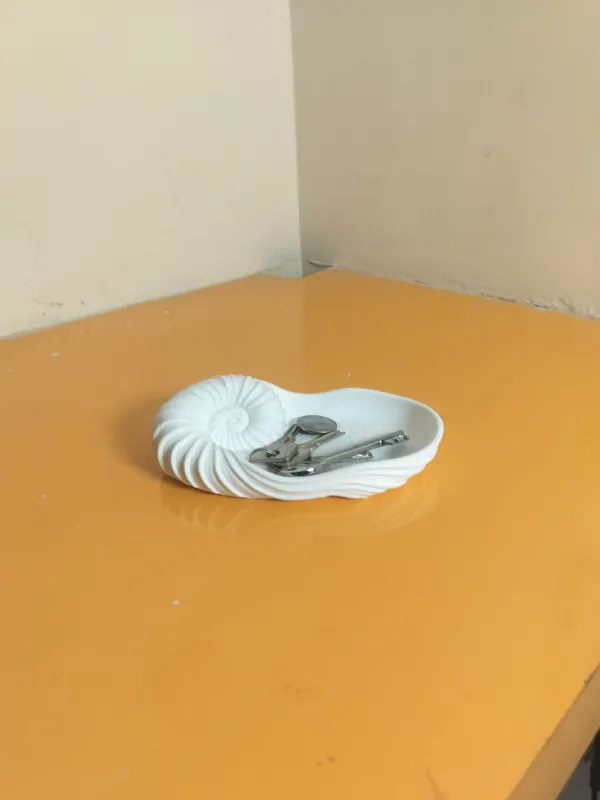Shell_Stuck_Catch_All_tray