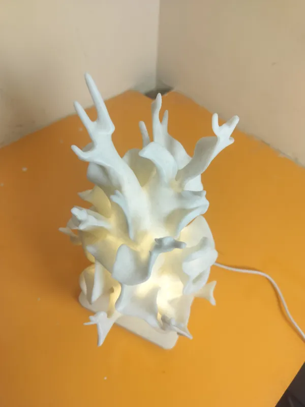 Coral_light_E10_LED_KIT