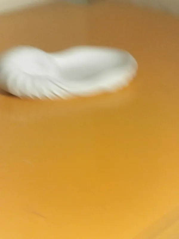 Shell_Stuck_Catch_All_tray