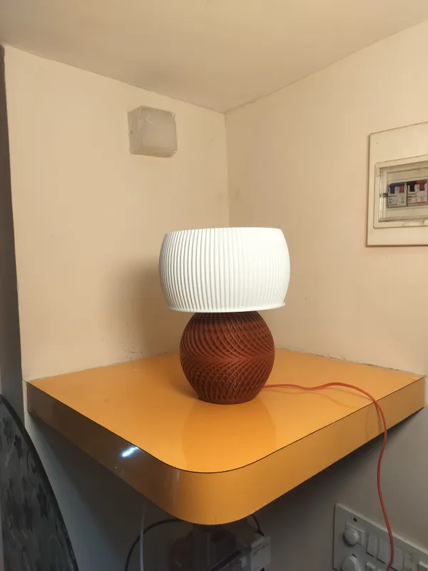 Drift_Design_Lamp_with_Standard_Bulbholder_and_wire_2_mtrs