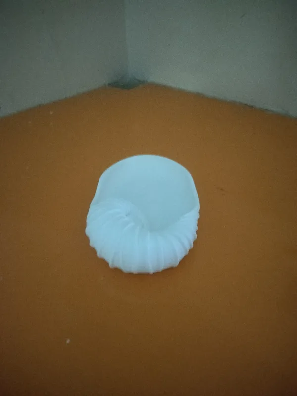 Shell_Stuck_Catch_All_tray