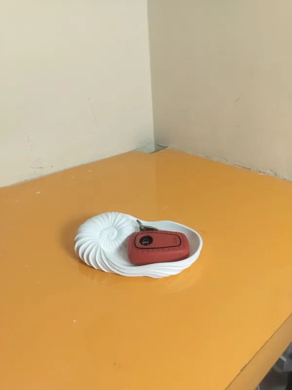 Shell_Stuck_Catch_All_tray