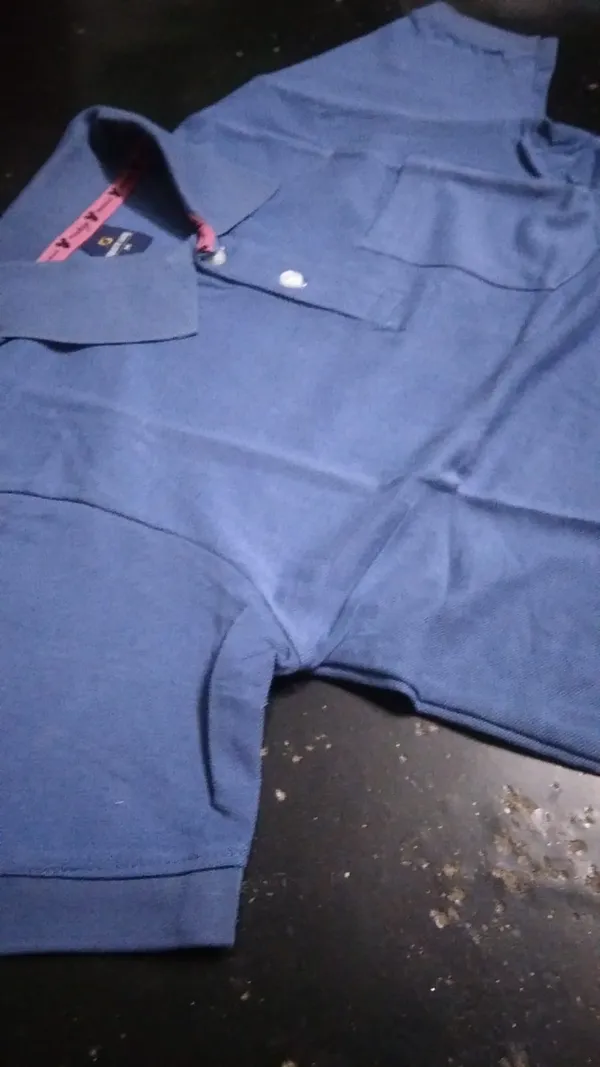 Blue_Polo_T-Shirt_for_Men