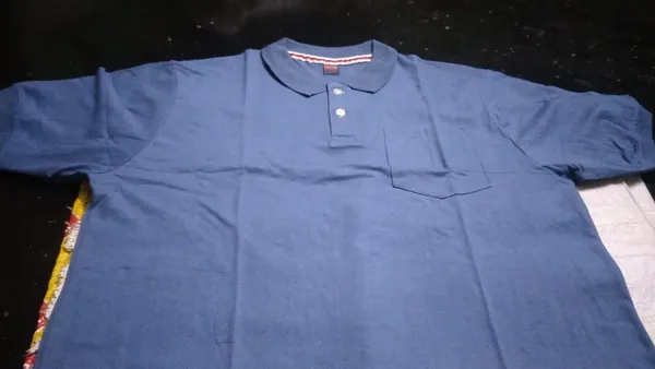 Blue_Polo_T_Shirt_for_Men