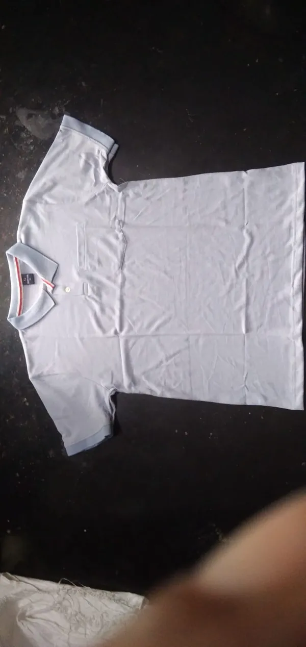 Light_Grey_Polo_T_Shirt_for_Men